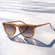 Load image into Gallery viewer, Wesley Sunglasses Crystal Brown