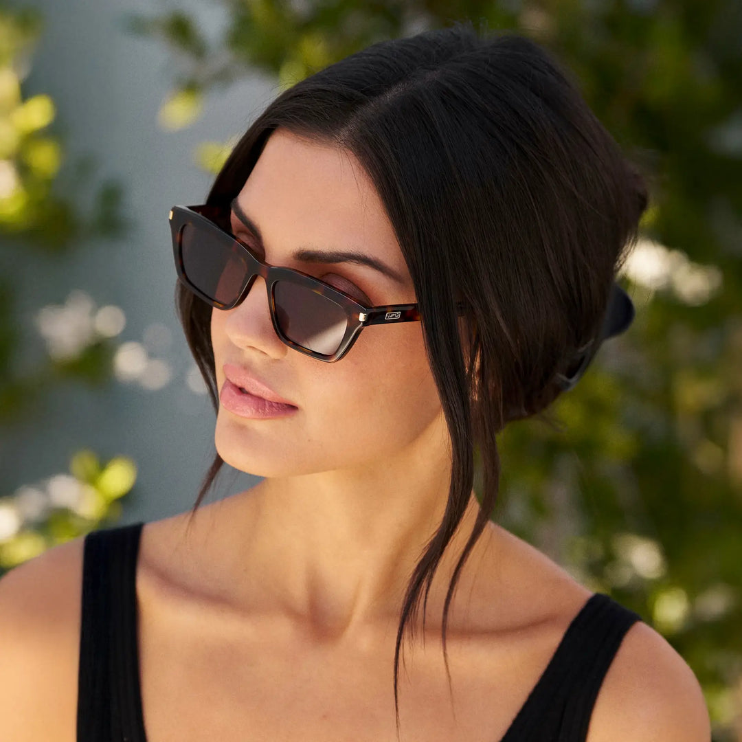 WMP Sienna Sunglasses, Mocha Brown