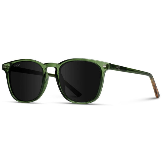 Nicholai sunglasses on sale