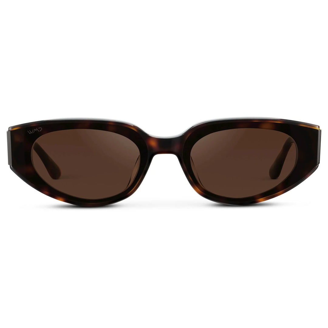 Astra Sunglasses, Tortoise