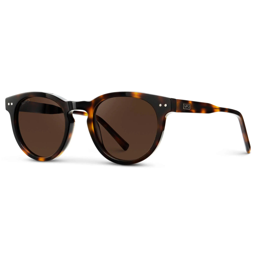 WMP Tate Sunglasses, Tortoise