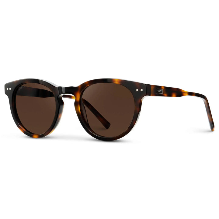 WMP Tate Sunglasses, Tortoise