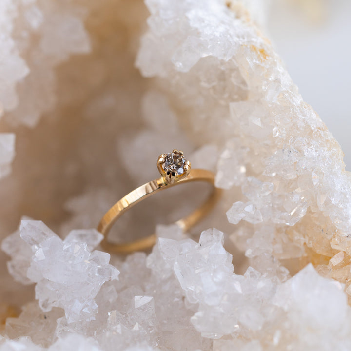 Champagne Willow Diamond Ring
