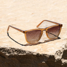 Load image into Gallery viewer, Wesley Sunglasses Crystal Brown
